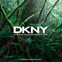DKNY (2006)